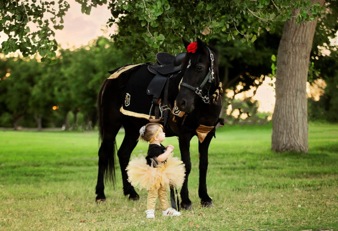 Golden Knight Themed Pony