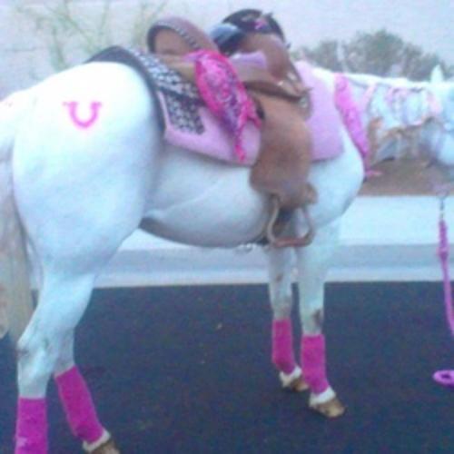 cowgirl-sparkles-pony